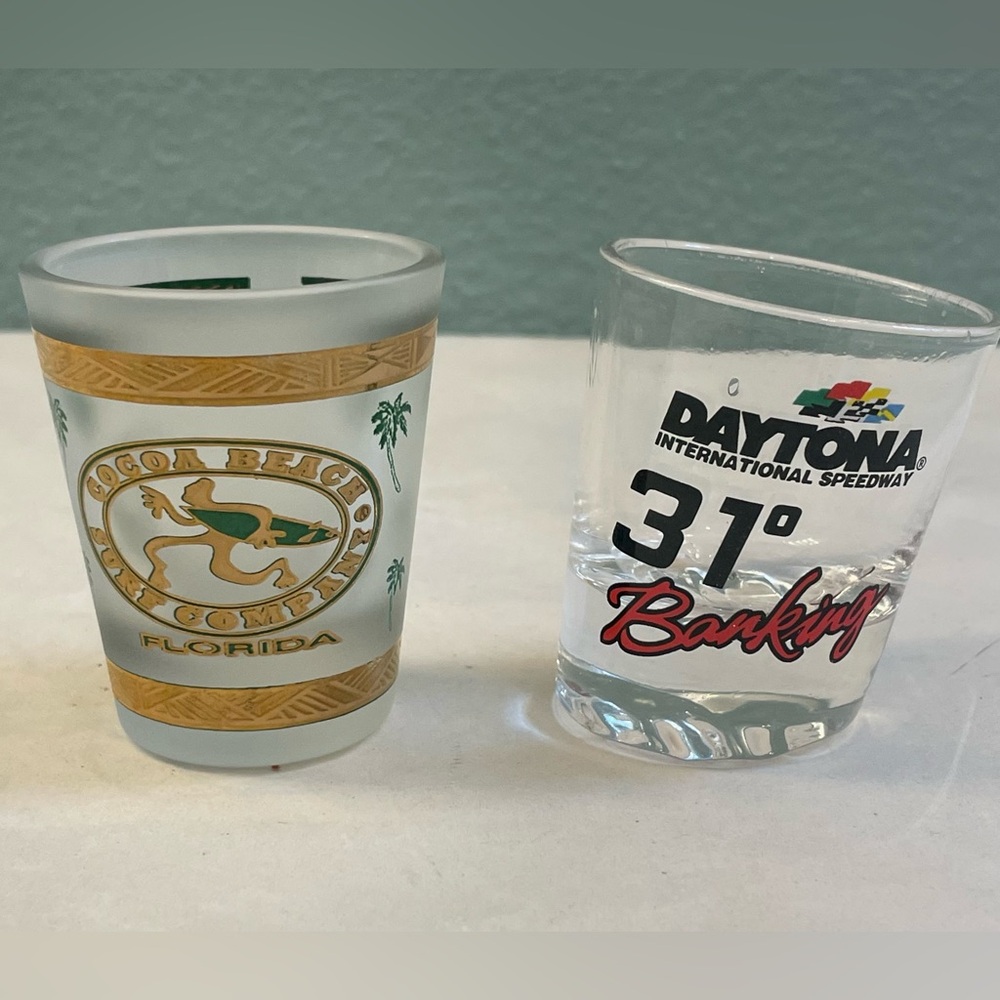 Pair of Florida-themed Shot Glasses